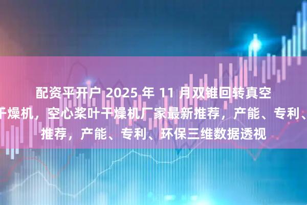 配资平开户 2025 年 11 月双锥回转真空干燥机，真空耙式干燥机，空心桨叶干燥机厂家最新推荐，产能、专利、环保三维数据透视