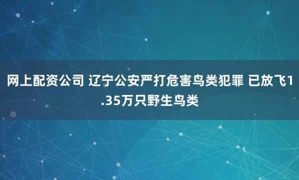 网上配资公司 辽宁公安严打危害鸟类犯罪 已放飞1.35万只野生鸟类